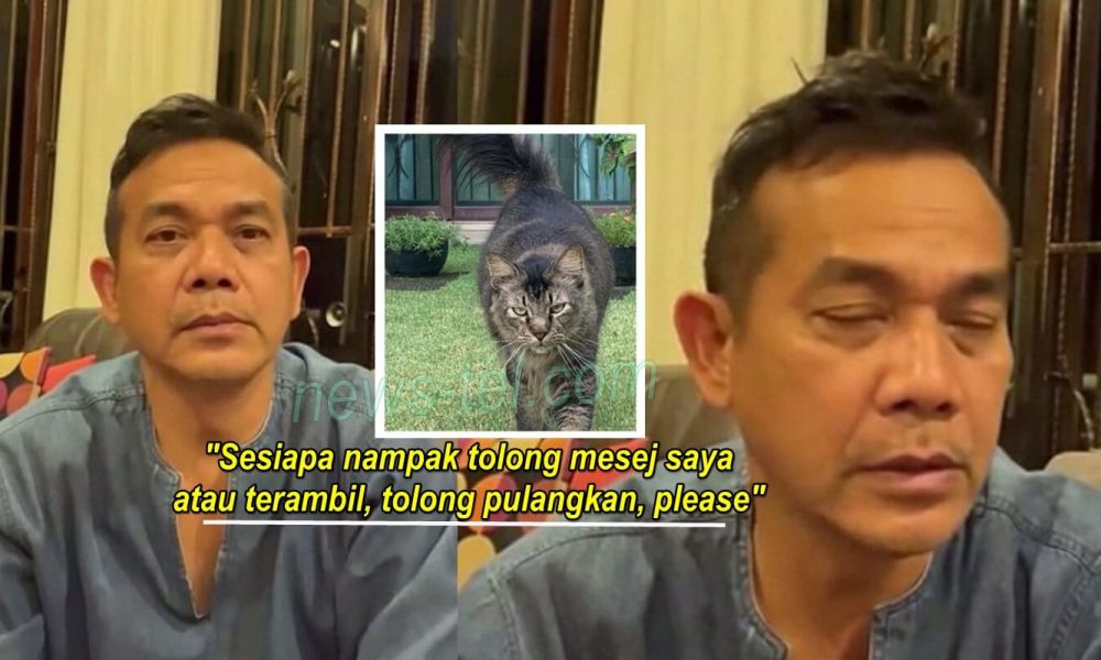 Ganjaran RM1,000 sesiapa yang terjumpa kucing kesayangan Rosyam Nor