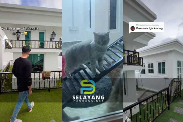 Siapa tak kenal hartawan Malaysia ini, sanggup habis berpuluh ribu semata-mata bina banglo untuk kucing