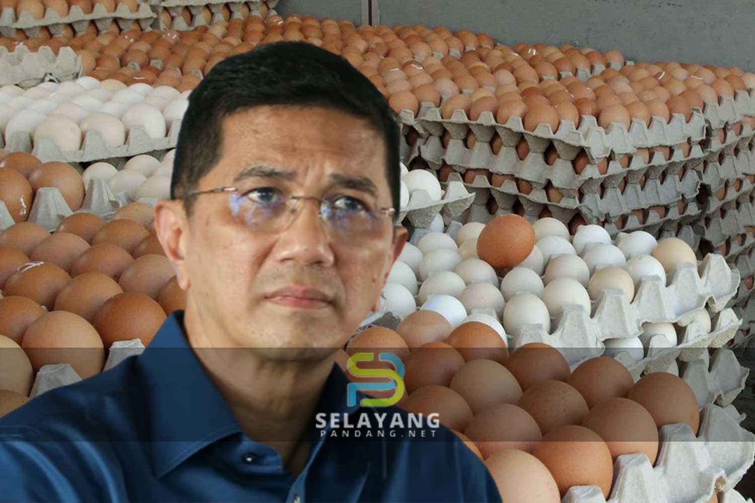 Syarikat import telur India saman Azmin Ali RM20 juta, ini sebabnya